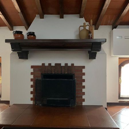 Daisy House: Nice Attic In The Historical Center Salo Exterior photo